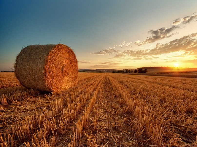 249638__sunset-over-hay-field_p